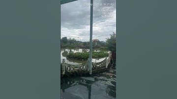 Cá trê vàng rặc giống. 0909770509 #cá_giống #fishing #trại_cá_giống_út_me