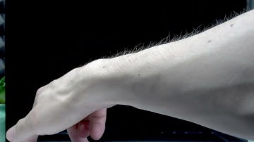 ASUS Chromebook C434T – How to Check Model Name and Number