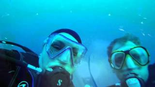 Plongées Maldives 2016 Part. I - Février 2016