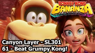 Canyon Layer - SL301 - 61 - Beat Grumpy Kong! - Donkey Kong Bananza Guide