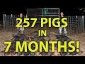 Russell County, AL Project 257 Pigs Captured In 7 MONTHS!