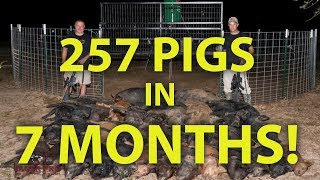 Russell County, Al Project 257 Pigs Captured In 7 Months