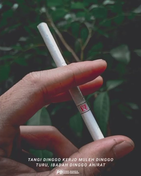 Story wa jawa kekinian // Tangi dinggo kerjo , muleh dinggo turu , ibadah dinggo ahirat.