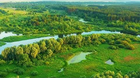 Thiên nhiên tươi đẹp I Rừng cây đẹp nhìn từ trên cao Tree, Forest j1L5n5vtqjs