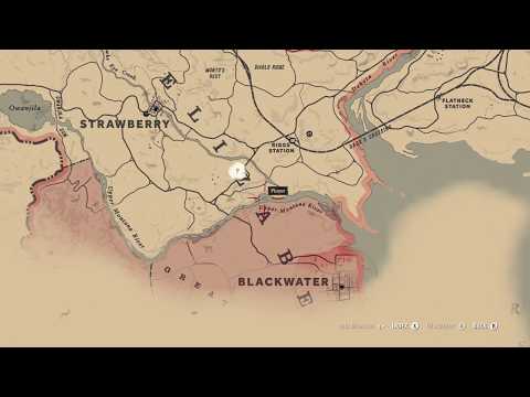 RDR 2: Survivalist Challenge 10 (4th of 15, Catch a Chain Pickerel)