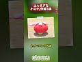 【歴代ピクミン】鳥肌がエグすぎる小ネタ/伏線3選 #ピクミン #ピクミン4 #ゆっくり解説 #任天堂