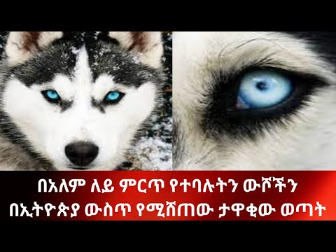 ቪዲዮ: ሳይቤሪያን ያገኘው ማን ነው?