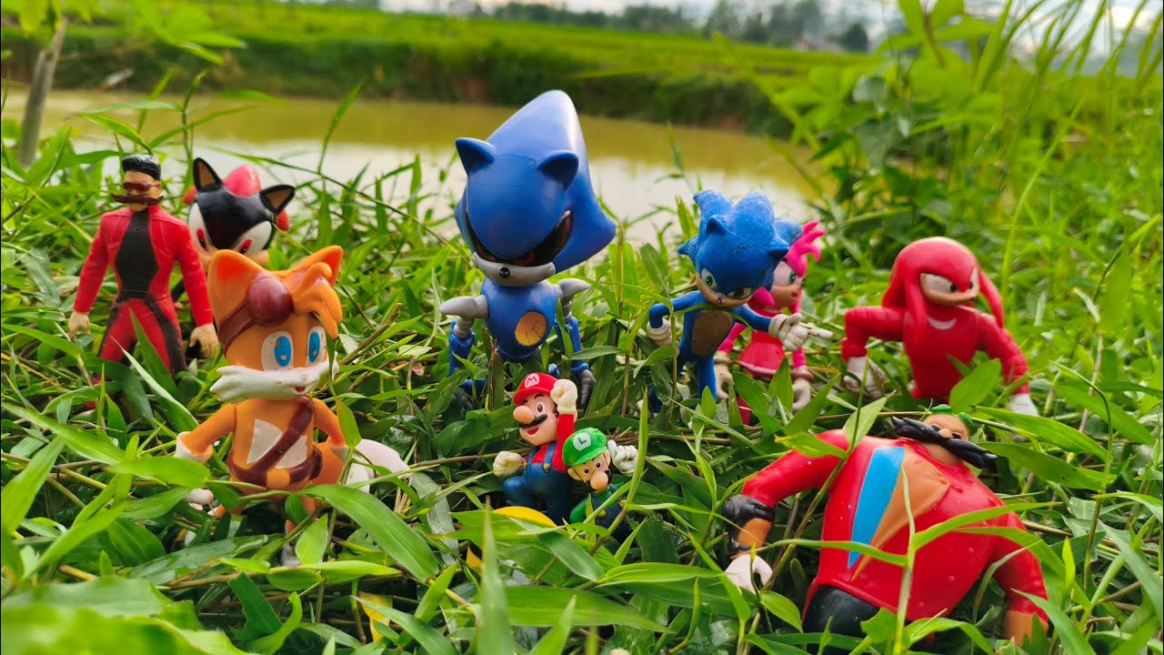 Hunting Sonic The Hedgehog:Sonic/Knuckles/Silver/Shadow/Metal Sonic/Tails/Amy Rose/Egg Man/Robotnic