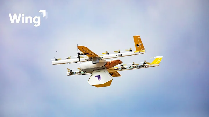 Wing Launches America's First Commercial Drone Delivery Service to Homes in Christiansburg, Virginia - DayDayNews