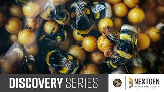 PREVIEW: The Ecology and Evolution of Learning Across Species (Aimee Dunlap, PhD)