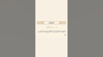 سورة آل عمران اية 139 #قرآن #قرآن_كريم #احمد_العجمي