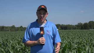 What to watch for when scouting fields