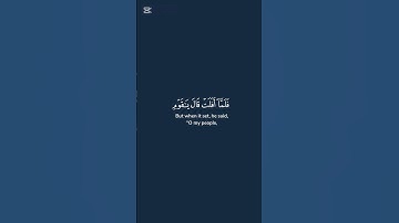 {فلما رءا القمر بازغا} ايات قرأنيه راحه نفسيه تلاوه خاشعه #ادريس_ابكر