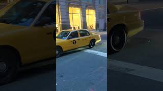 shorts Ford Crown Victoria New York City Taxi in January 2024