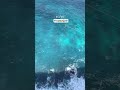 Any One Try This カ 亞 Unitedstates Travelideas Bali Europeantravel Any One Try This カ 亞 Unitedstates Travelideas Bali Europeantravel