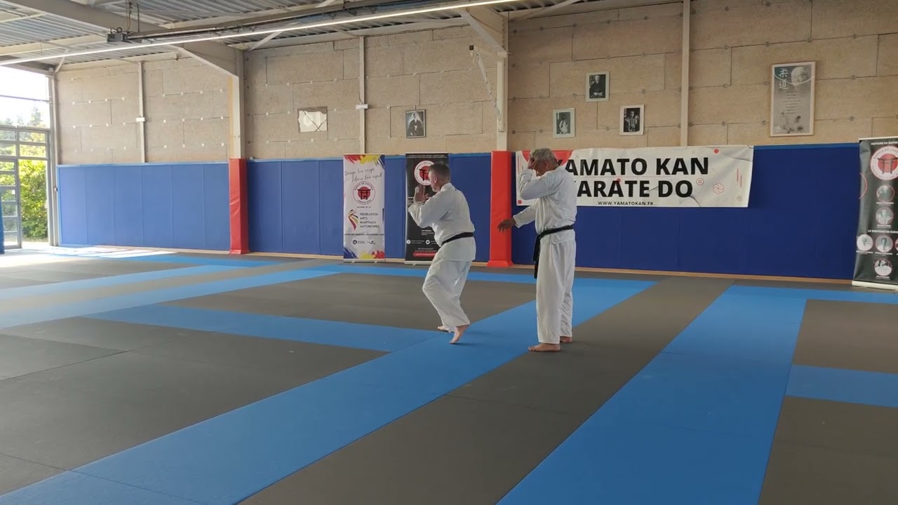 Yamato Kan karaté do : sur mae geri Stage Adultes du 21 juin 2025