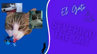 Erikk- El Gato Episodio 13 Intro