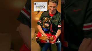 Rottweiler With Glowing Eyes Mad About Taking His Bucket Jersey Off