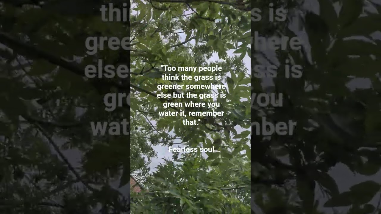 "​The Grass is Green Where You Water " #Inspirational #Quote​Mindset​#Personal Growth​#Motivation