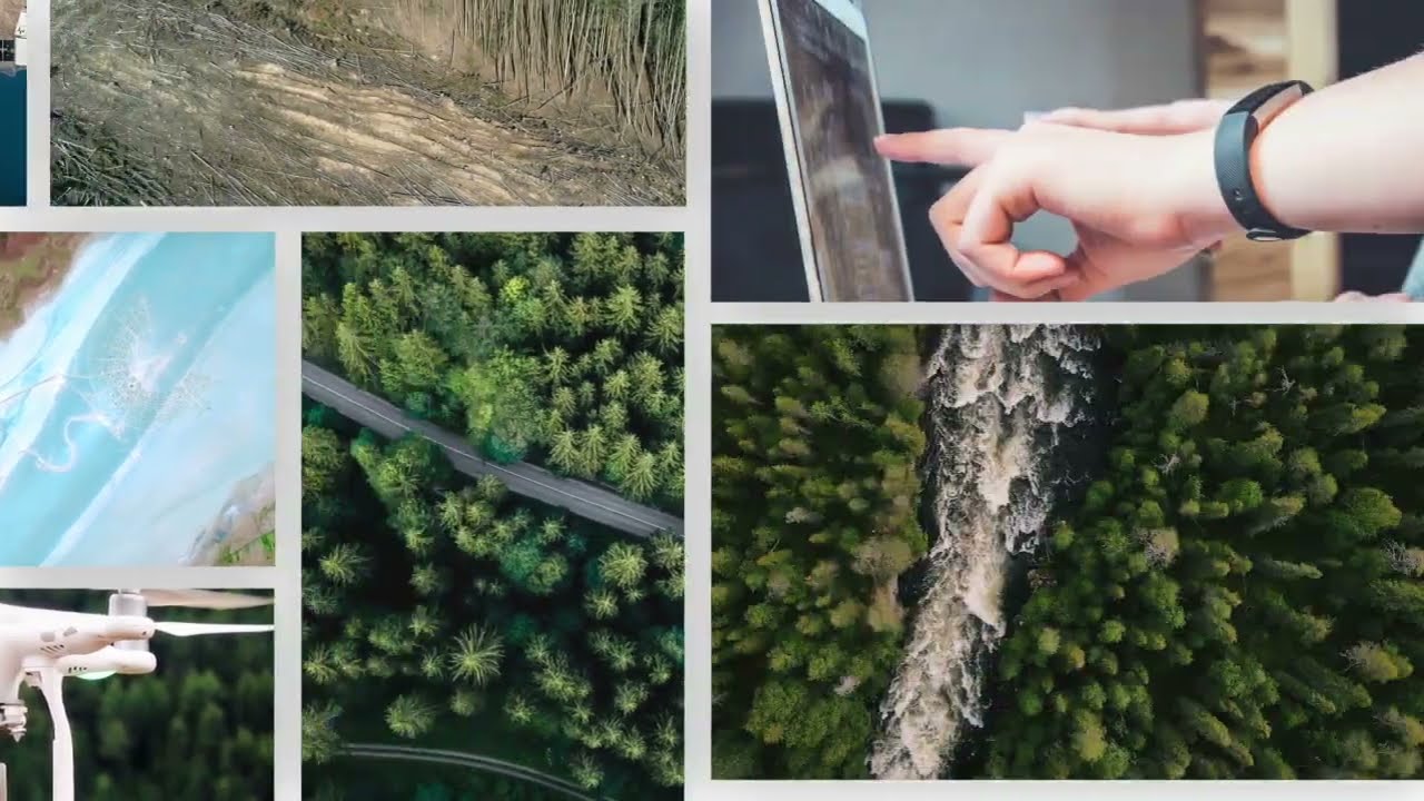 Technology can save our Forests!