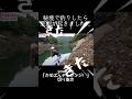 ひとり秘境へ釣り行ったら悲劇が… #fishing #釣り #バス釣り #fishingtips