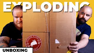 An Exploding Box of Kittens