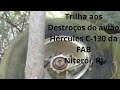 Destroços Avião Hércules C-130 da FAB, Serra da Tiririca, Niterói, RJ - 11-01-2020