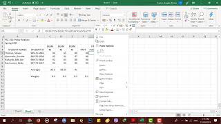 VLOG EXERCISE #1: GRADE SHEET (MICROSOFT EXCEL)