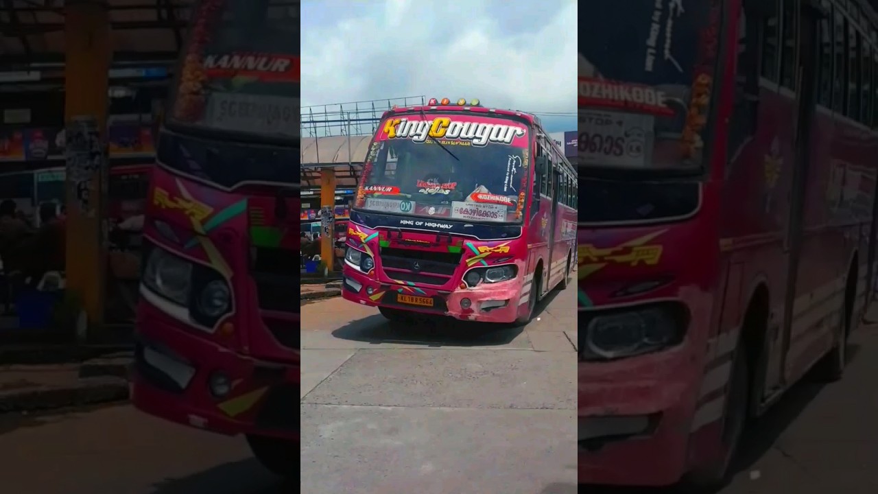 King Cougar🔥 KSRTC 🔥 | Private bus | Kannur | Kerala