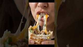 One burrito. One mission. Finish it all! 🌯🔥🤤#Mukbang #Burrito #FoodASMR #EatingShow #Foodie #ASMR