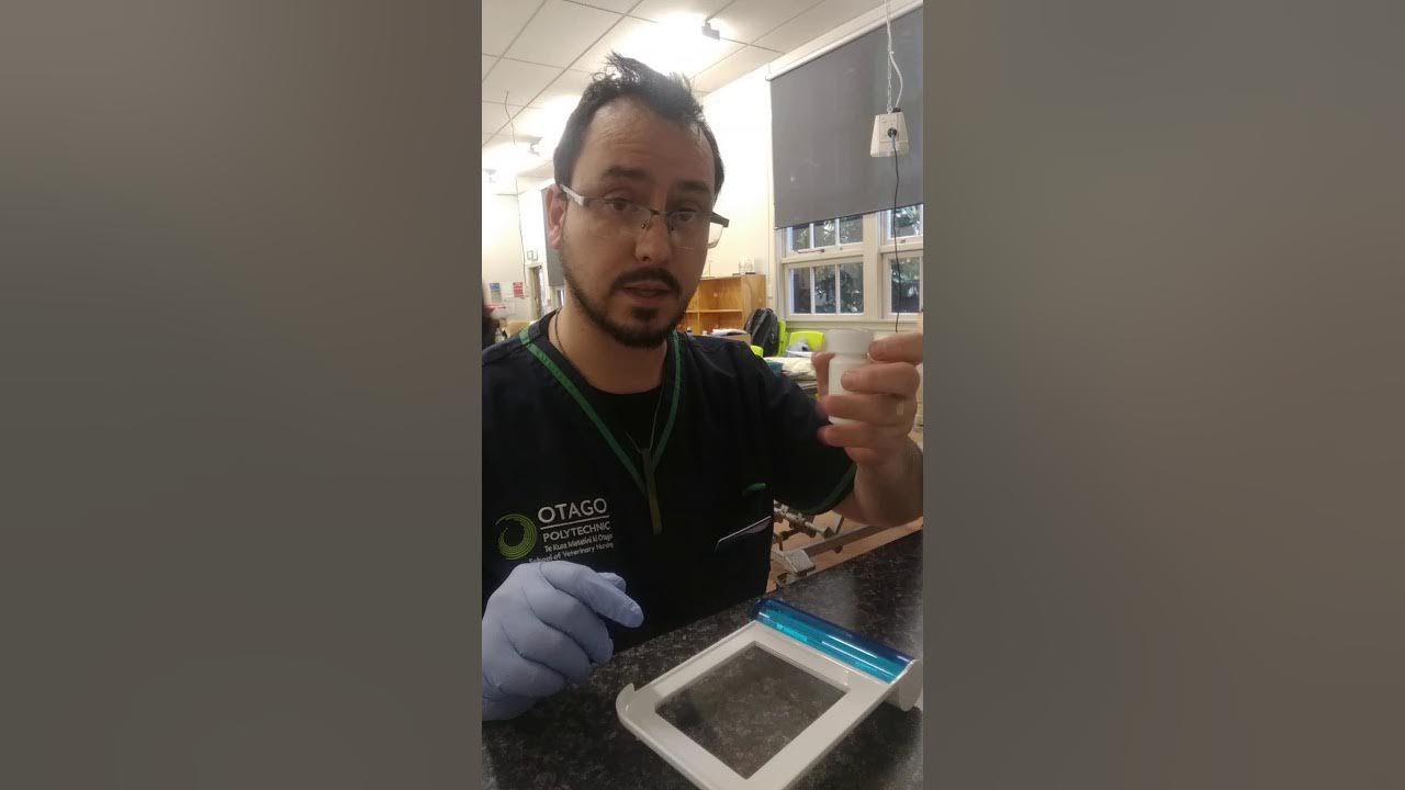 Dispensing and labelling medicine YouTube