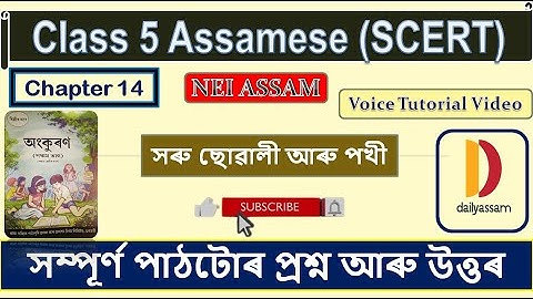 সৰু ছোৱালী আৰু পখী । Chapter 14 | Class 5 Assamese Question and Answer | Assamese medium |