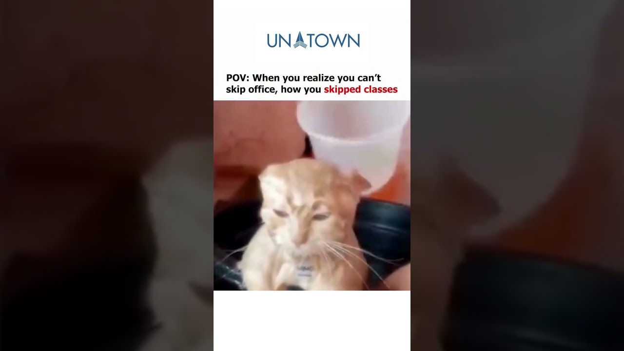 Corporate Meme | Funny Reel |