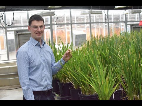 Developing and Improving CRISPR Tools for Plant Genome Editing