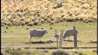 ARCHIPIELAGO TIERRA DEL FUEGO