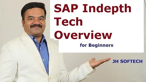 ERP SAP In depth Overview & Technical Concepts