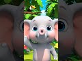 Your Baby Will Go Crazy for These Animal Sounds 🐵🐼 #BabyLearning #Cute