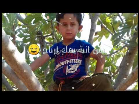 جميل ابراهيم 