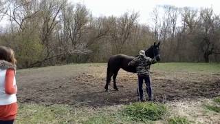 Видео Новая знакомая )) (автор: Владимир Искаков)