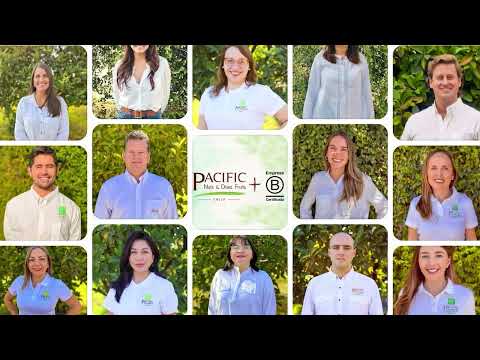 Video corporativo