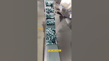 Automatic stick bag sorter counter | sachet counting orientating equipment