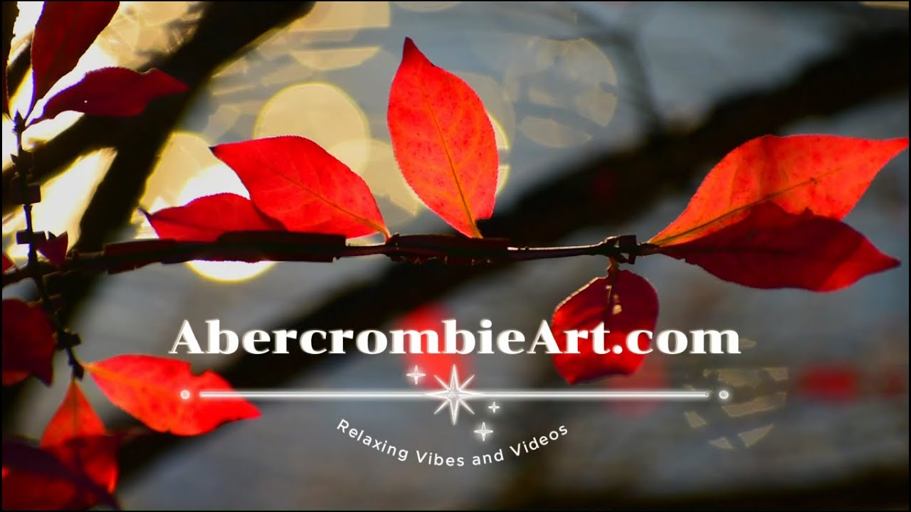 Relaxing Autumn Colors Meditation with Ambient and Classical Music NY