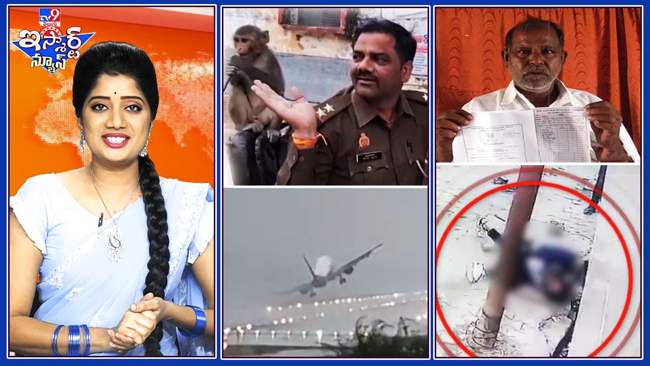 iSmart News : బతికున్న మనిషికి డెత్ సర్టిఫికేట్ | పోలీస్ ఆఫీసర్ తో ముచ్చట పెట్టిన మంకీ - TV9