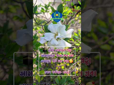 Islamic tiktok  #islamic #shortvideo