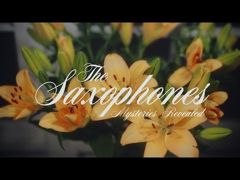 The Saxophones - Mysteries Revealed [Official Video]