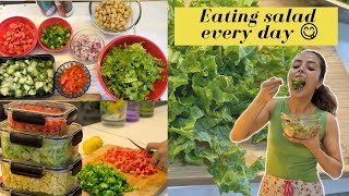 Benefits of eating salad everyday || Easy and healthy salad recipe || Garima Verma || screenshot 3