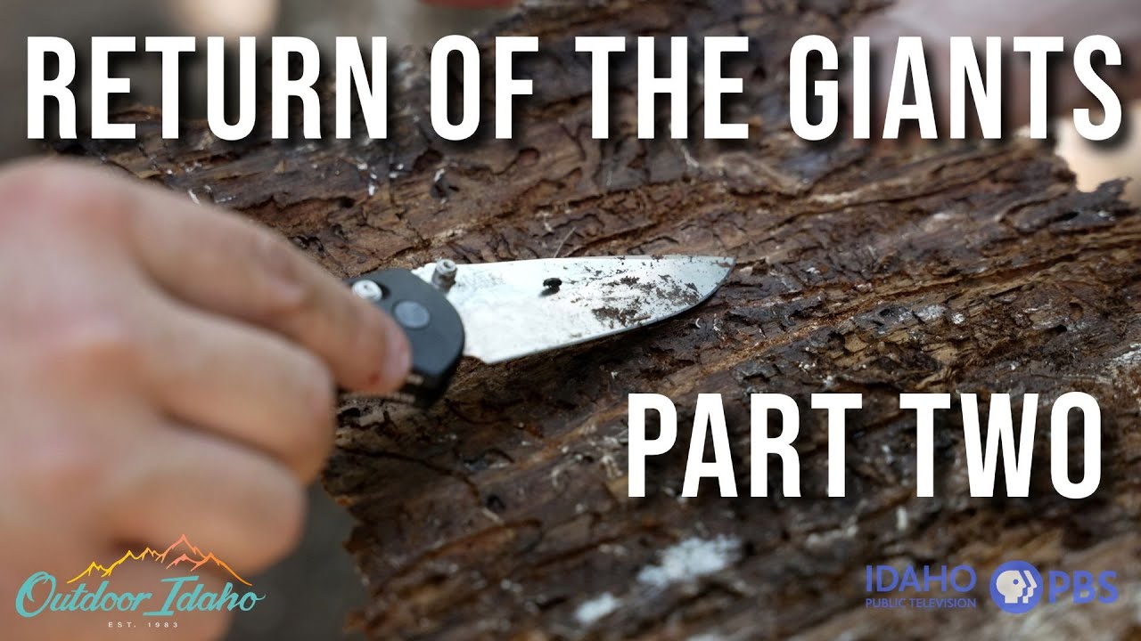 Return of the Giants: Part 2 | Outdoor Idaho