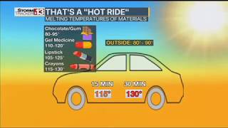 Hot Car Safety: Look Before You Lock