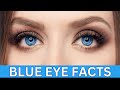 Blue Eye Facts | Facts about People with Blue Eyes | Eye Color Facts