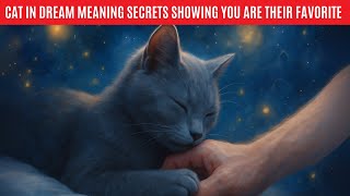 7 cat in dream meaning secrets showing you are their FAVORITE screenshot 2